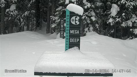 Mountain Snow Stake Cam 